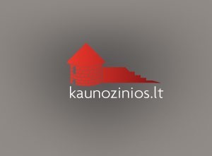 (c) KaunoZinios.lt