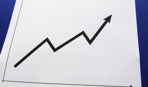statistika-stock-xchng (c) Stock.xchng archyvo nuotr.