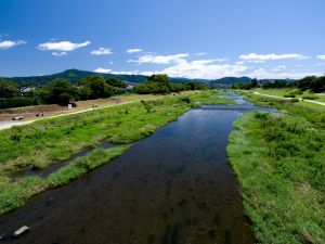 river.sxc Stock.xchng archyvo nuotr.