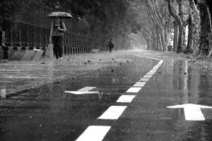 rain_sxc (c) Stock.xchng archyvo nuotr.