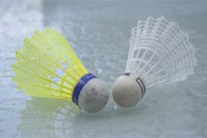 badmintonas_sxc (c) Stock.xchng archyvo nuotr.