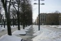 laisves_aleja_2010_ziema_kz (c) KaunoZinios.lt archyvo nuotr.Tikimasi Laisvės alėją prikelti iš žiemos miego