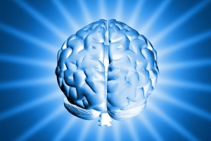 smegenys_sxc (c) Stock.xchng archyvo nuotr.