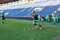 Stankevicius spurtuoja (c) kaunozinios.lt archyvo nuotr.