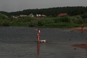 maudynes