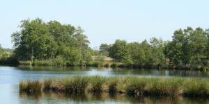 1265030_lake (c) stock.xchng archyvo nuotr.