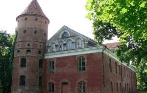 raudondvaris (c) wikimedia commons archyvo nuotr.