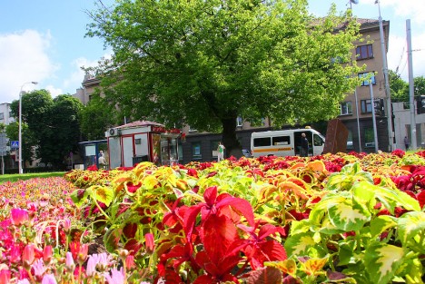 iGTFMWBDR_Kaunas (c) Kaunas.lt archyvo nuotr.