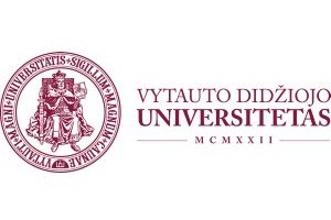 VDU_300x200