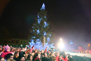 eglutes_iziebimas5_kaunas_lt (c) Kaunas.lt archyvo nuotr.