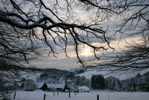 snow_sxc (c) Stock.xchng archyvo nuotr.