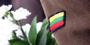 Lietuvos vėliavėlė Lietuvos vėliavėlė